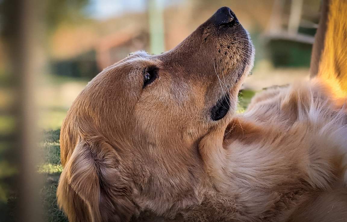 WhatsApp Image 2021-03-07 at 21.51.43(1).jpeg